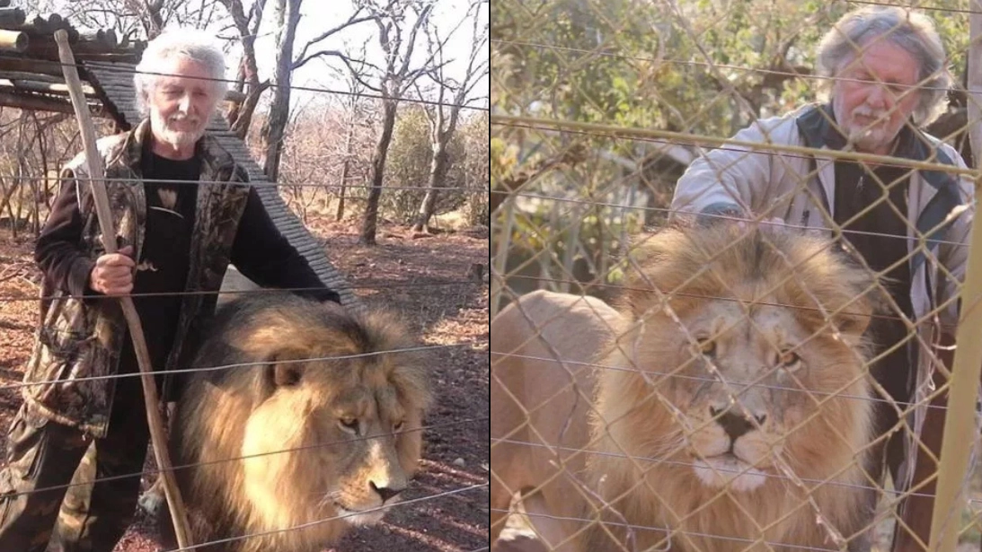 'Lion man' who treated his big cats like his children made fatal mistake when he was killed by them