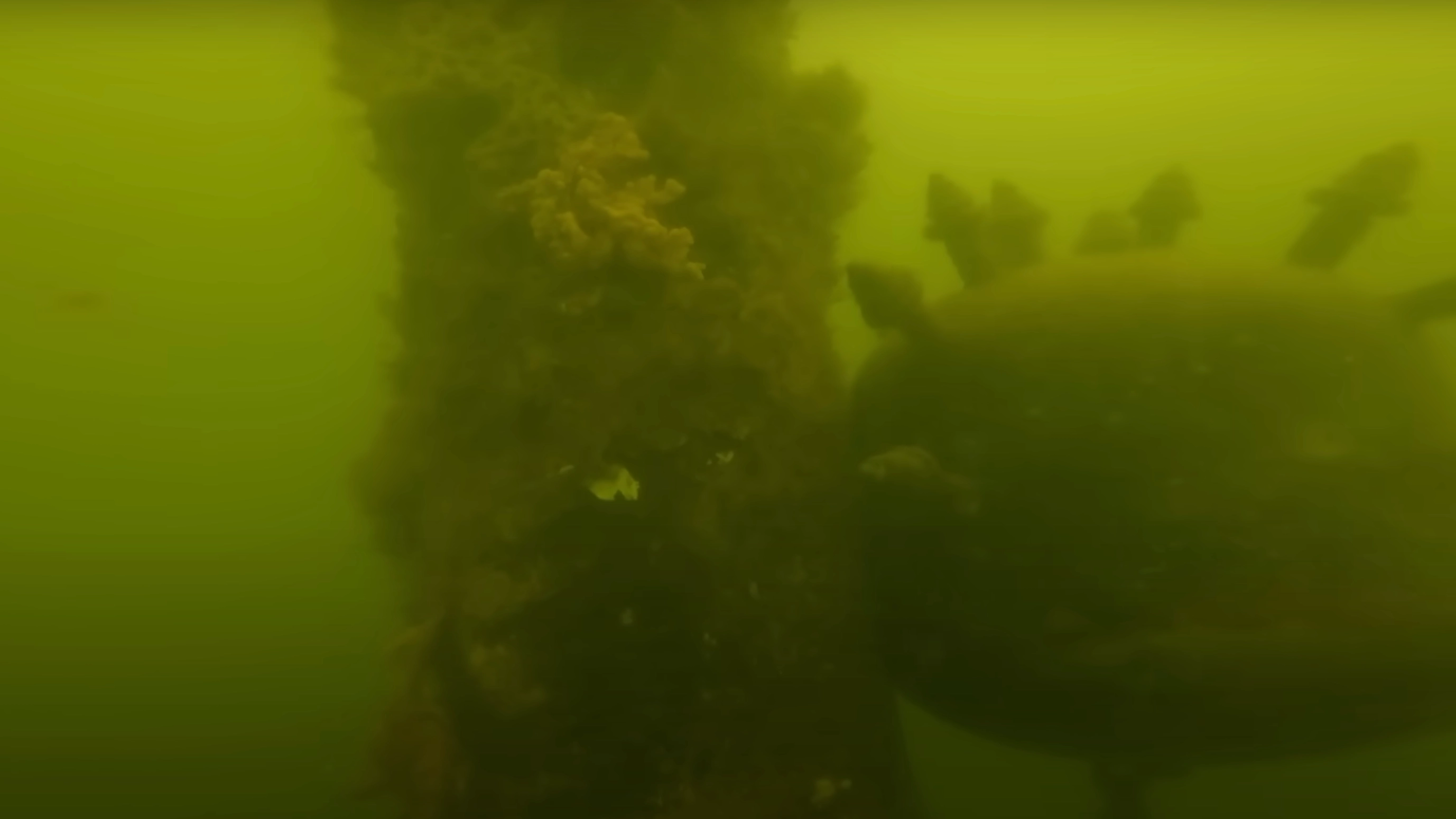 Man advised to call authorities after GoPro makes disturbing discovery when dropped into ocean
