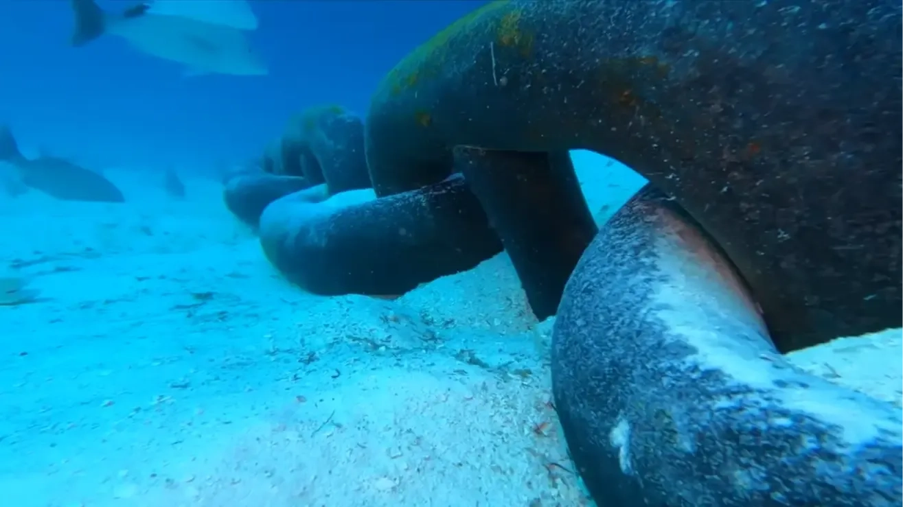Why GoPro footage is so 'terrifying' as man drops camera off cruise ship