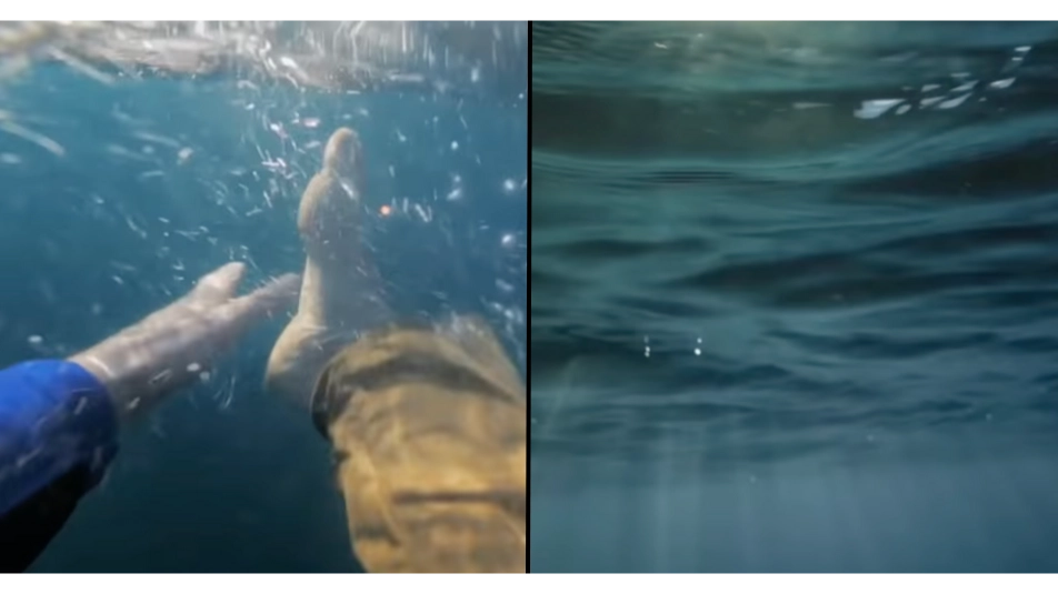 Terrifying simulator shows what it's like to drown