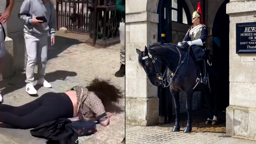 Tourist knocked face-first to the ground after being ‘headbutted’ by King’s Guard horse