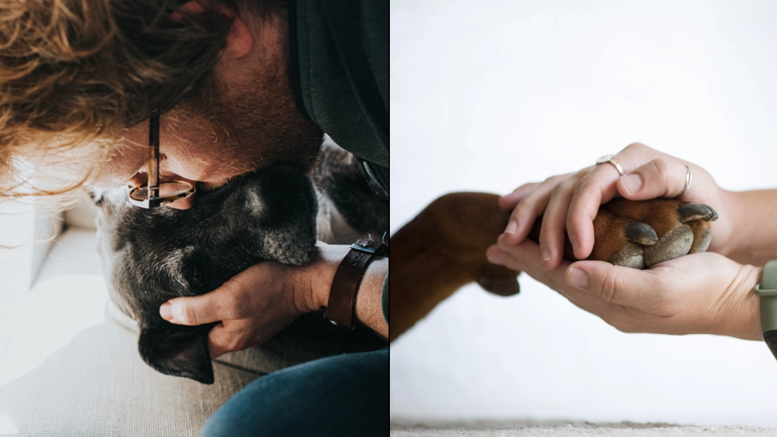 Vet gives heartbreaking plea to owners putting their dog to sleep after seeing their final moments 
