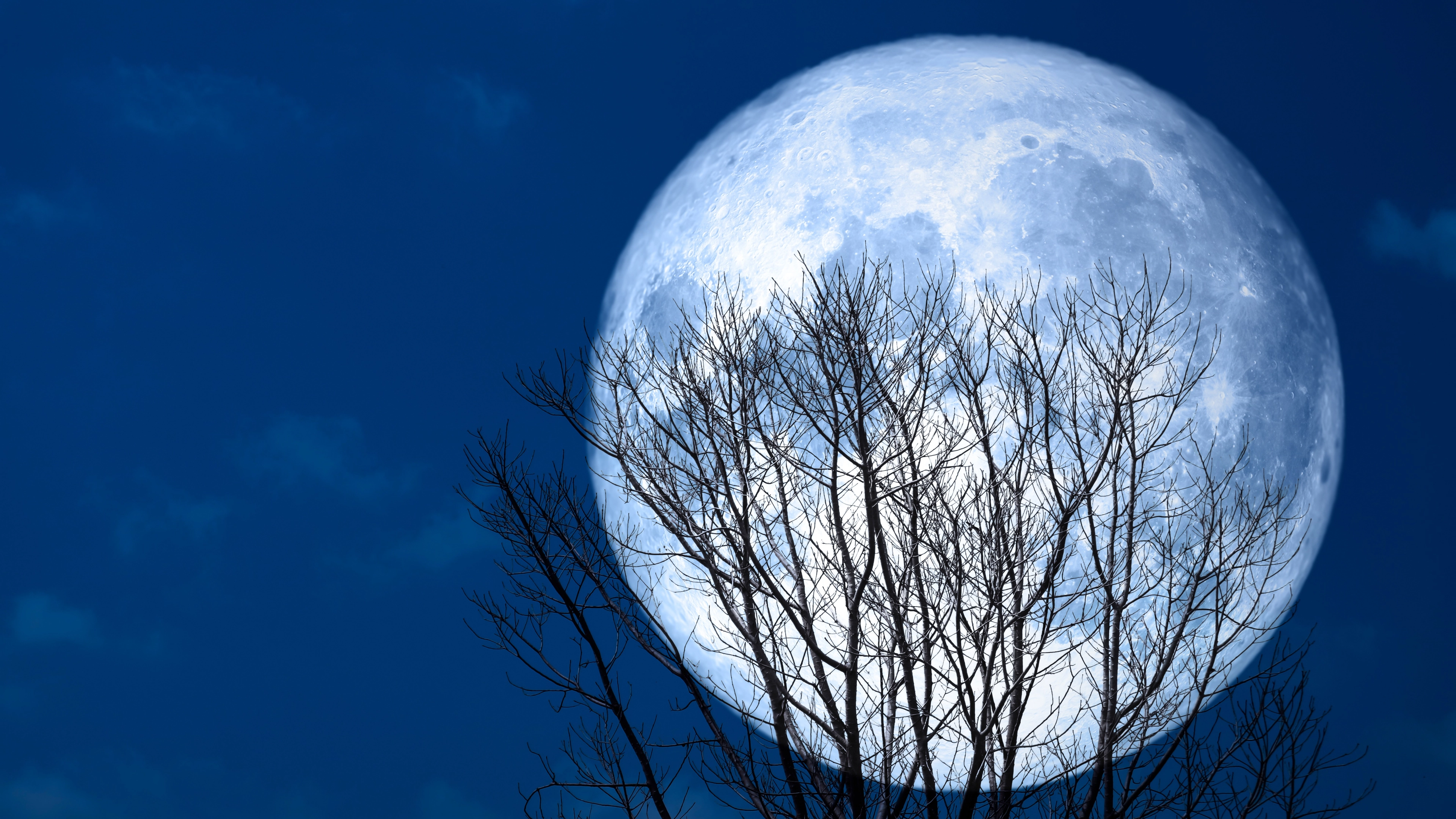 Where and when to see the full Cold Supermoon expected to light up the skies tonight