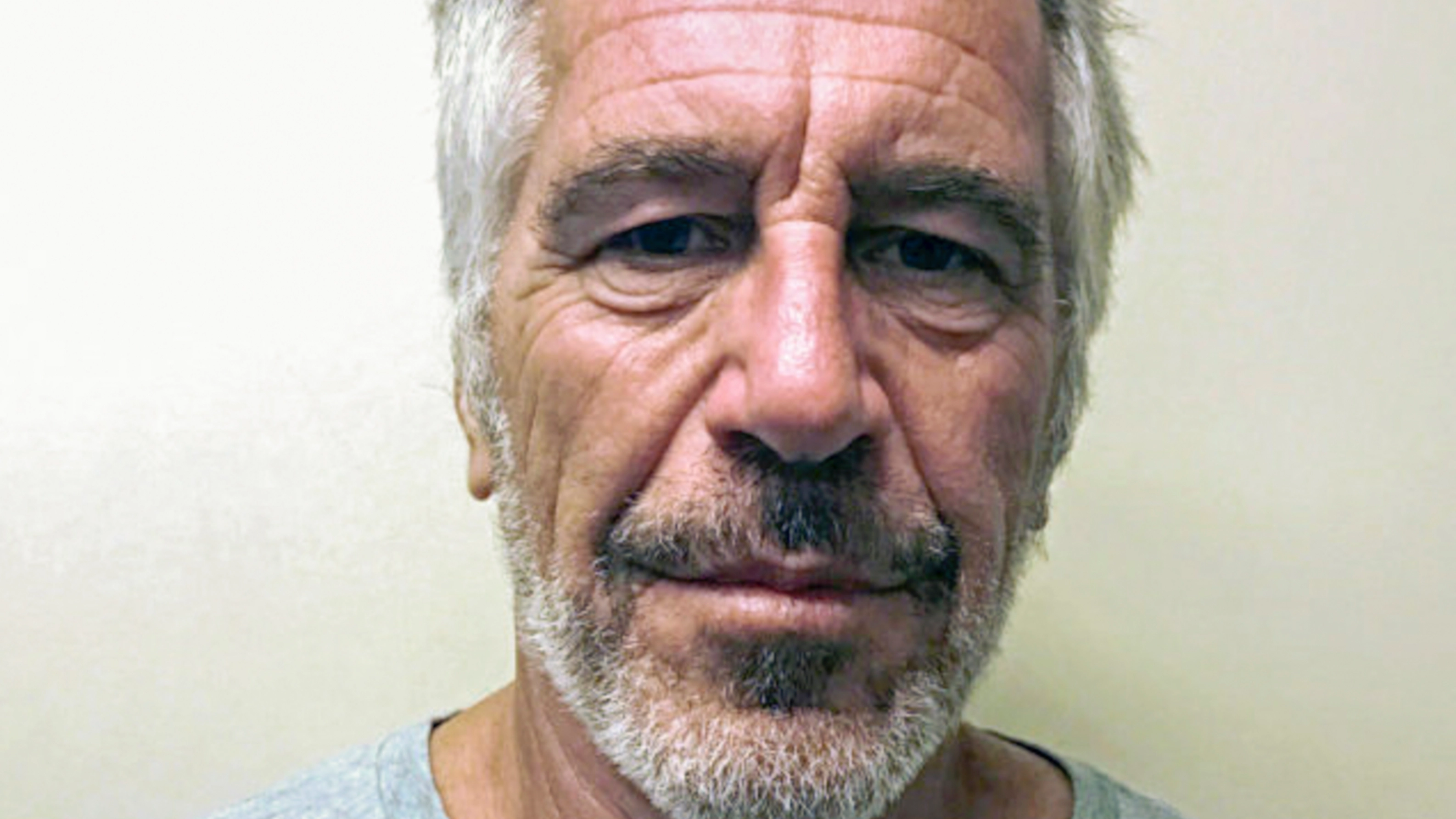 Jeffrey Epstein sent shocking final text hours before his death, author claims