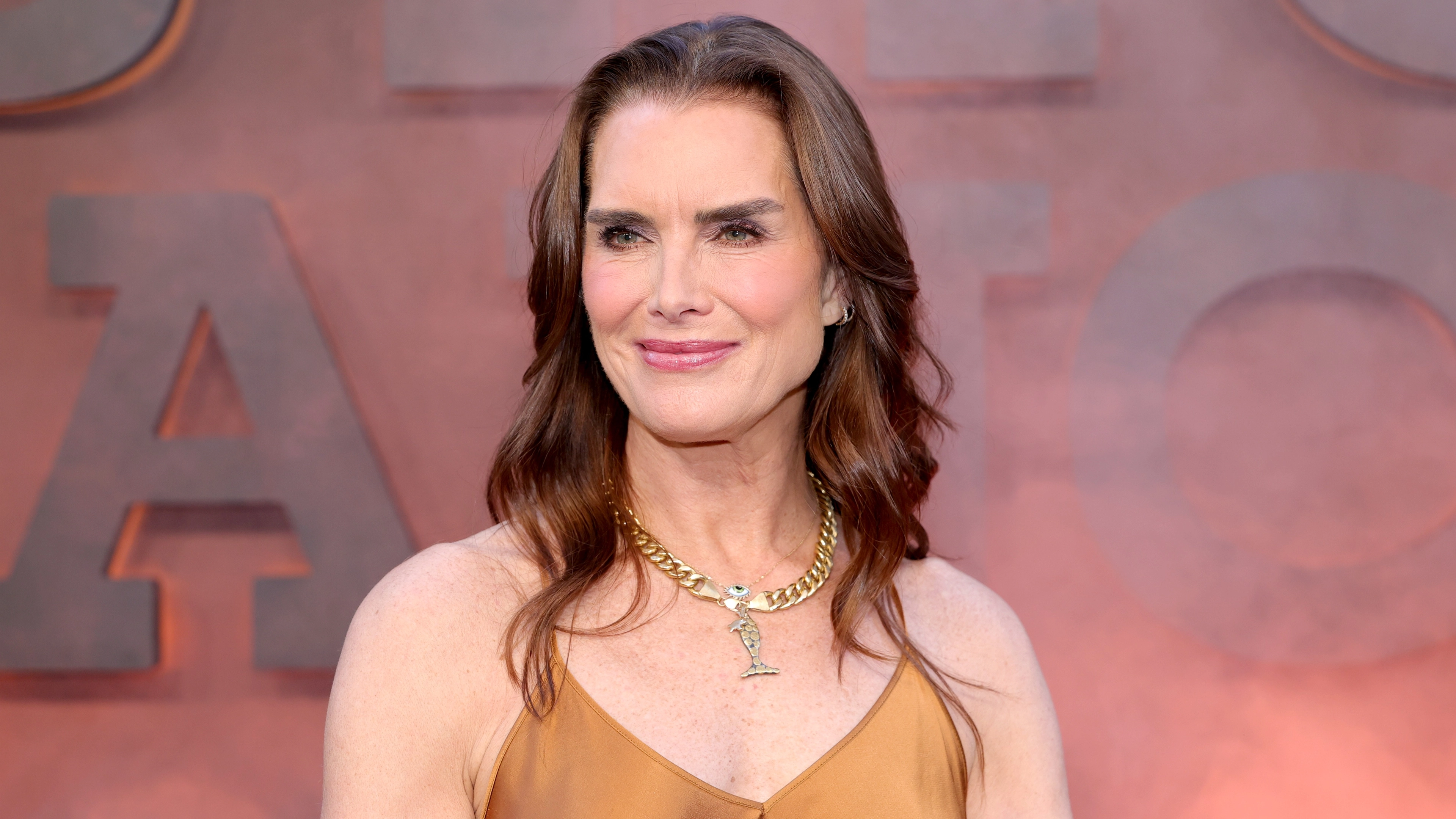 Brooke Shields recalls horrifying moment fan tried to cut off her hair while promoting controversial film aged 12