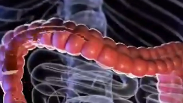 Insane simulation shows what happens to your body if you drink superfood everyday to achieve 'internal shower’