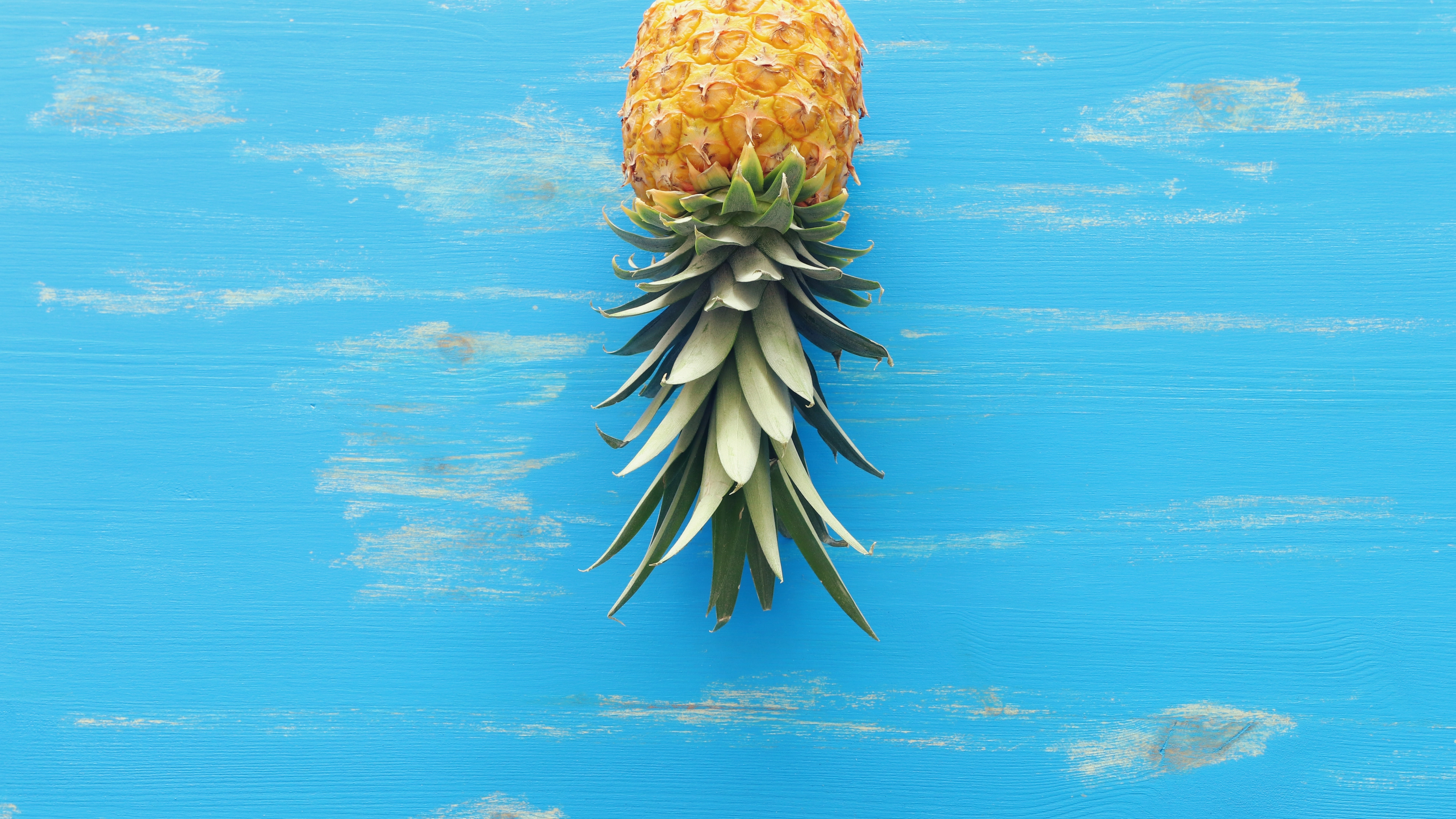 Cruise passengers ask vital question about 'upside down pineapples' over 'contraband' worry