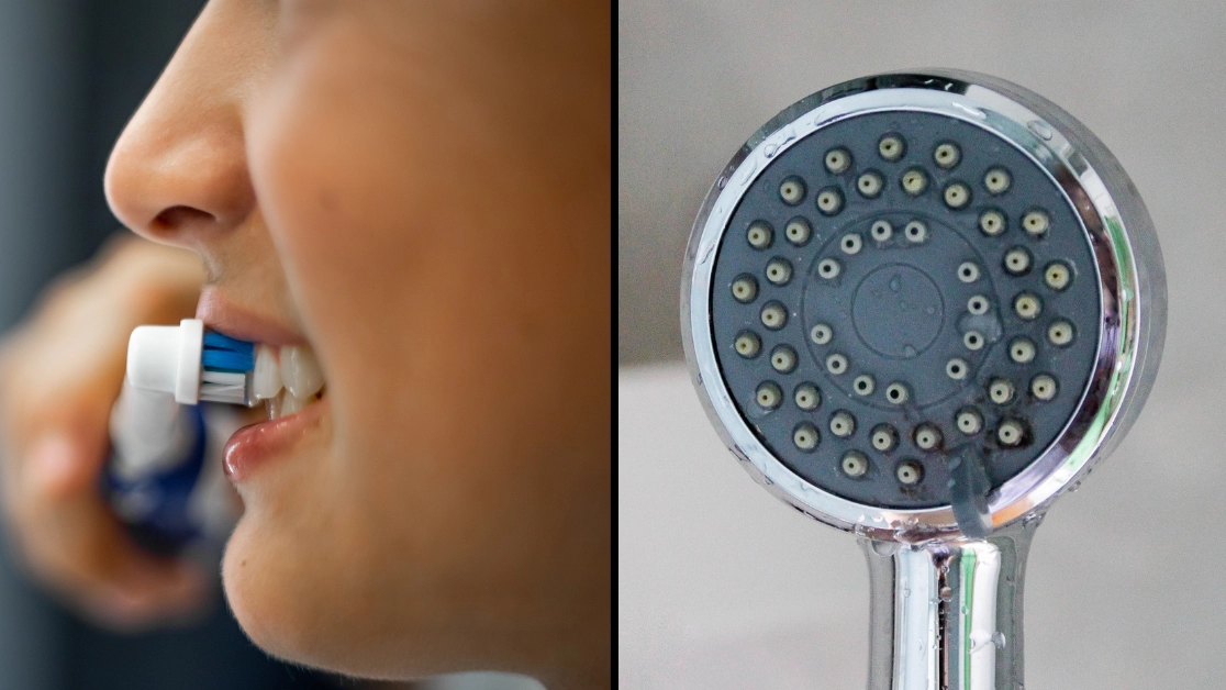 Scientists find 'never-before-seen viruses' in your toothbrushes and shower heads