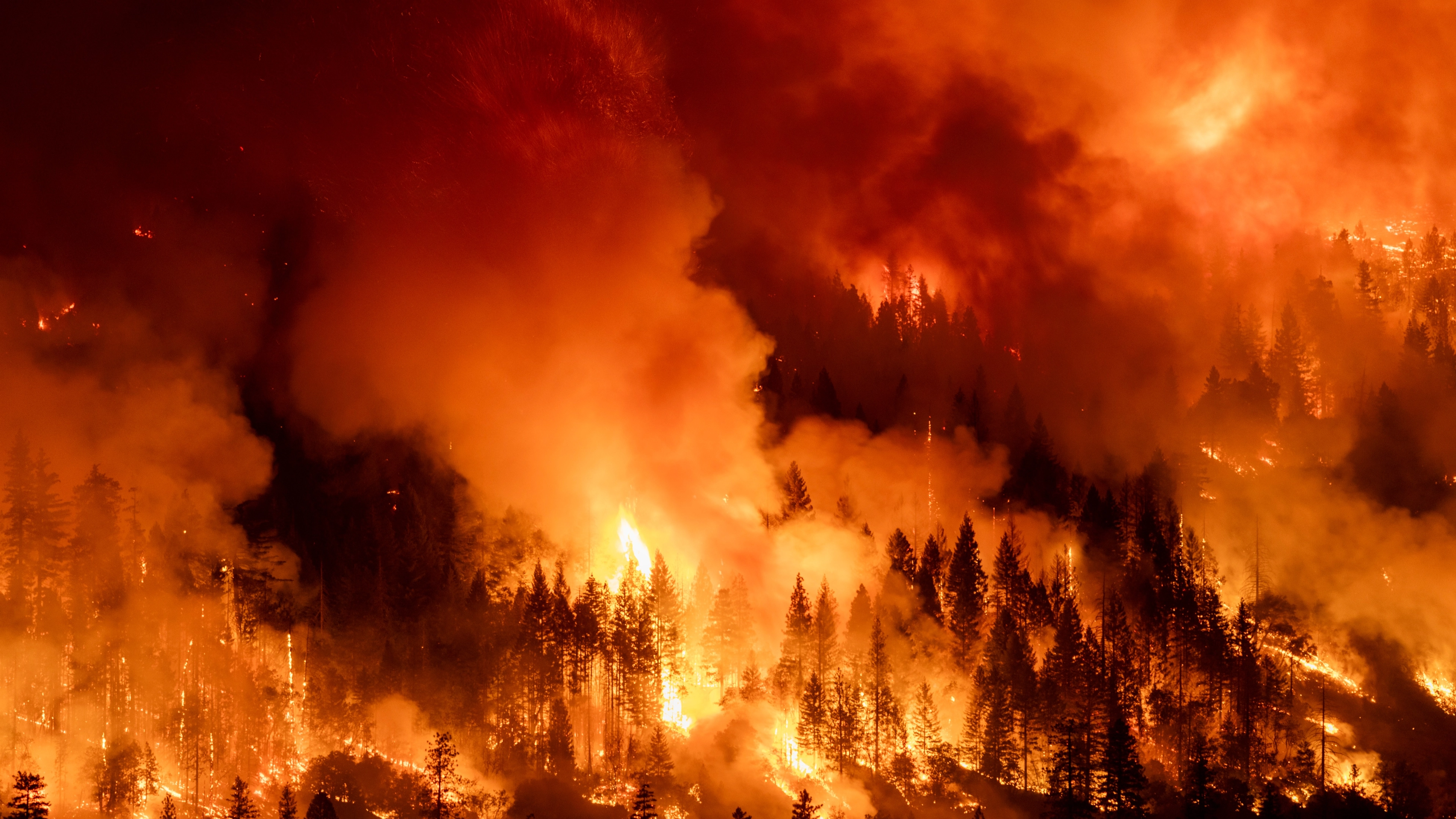 UN warns ‘devastating consequences for the world’ are now inevitable as we grow closer to ‘catastrophic tipping points’