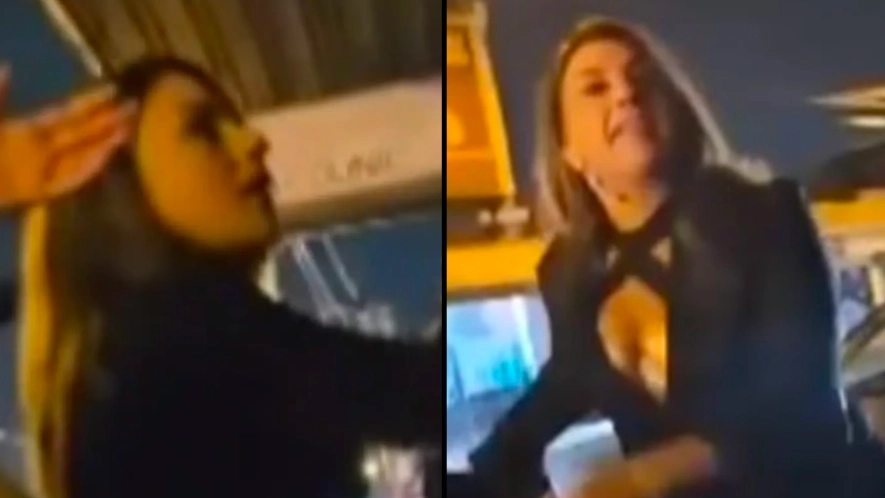 Australian Senator responds after video captured her telling a man he had a small penis at 3am
