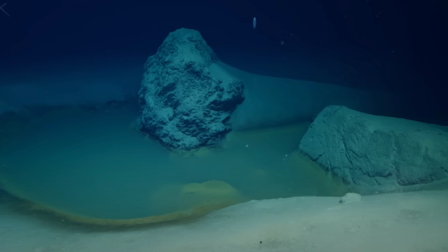 Scientists made chillingly bleak discovery after finally reaching bottom of Red Sea