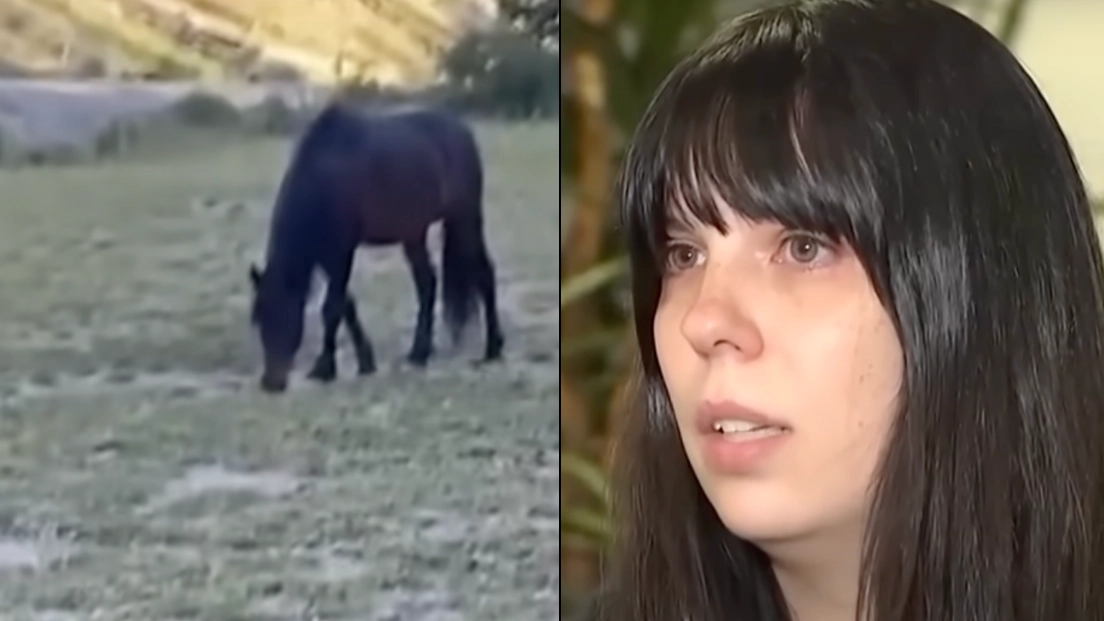 Terrifying video showcases moments just before a 3-year-old girl is attacked by a wild horse