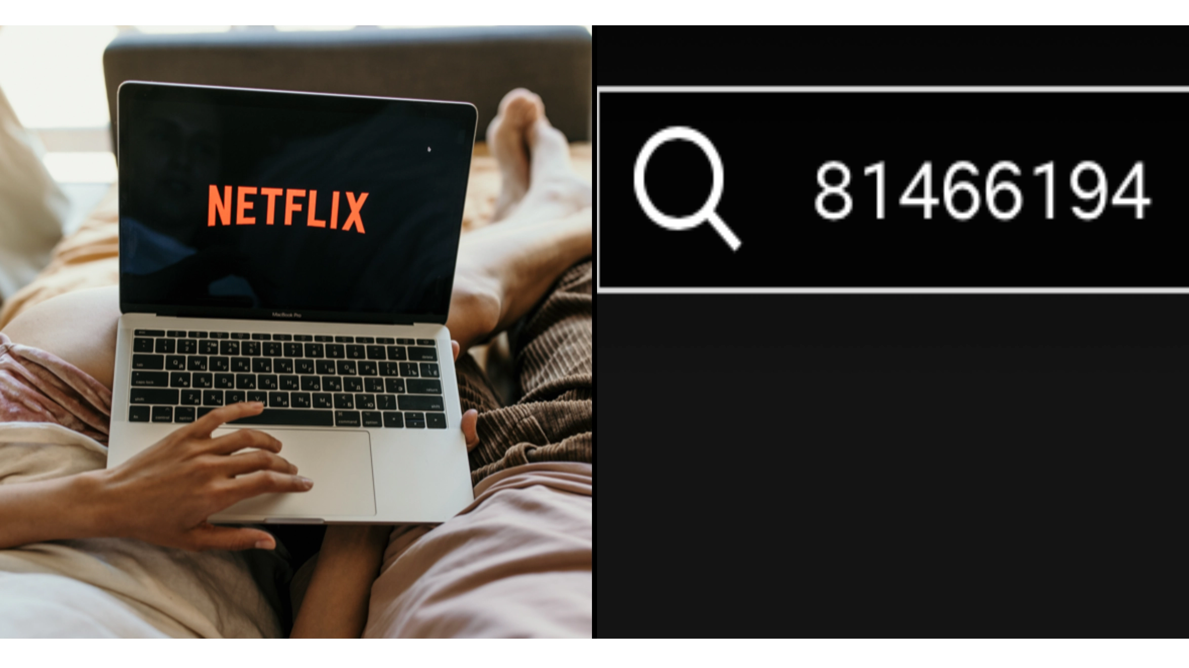 Netflix urges fans to search 81466194 code if you don't have much time