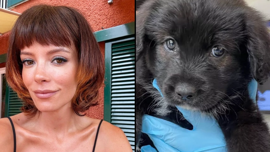 Lily Allen shares sad reason she was forced to get rid of family dog that ‘ruined her life’