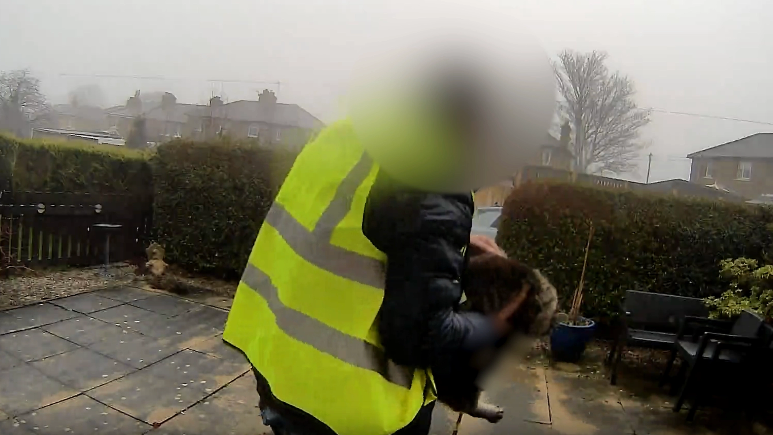 Amazon delivery driver caught ‘stealing cat’ from front door on doorbell