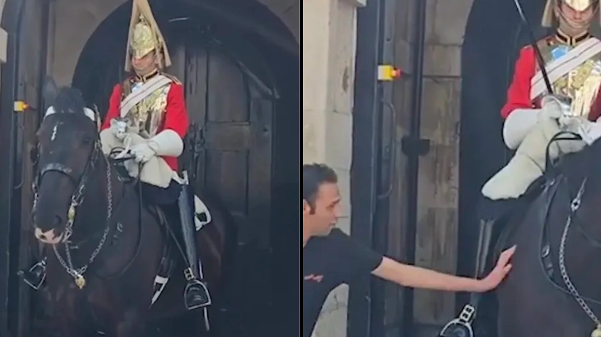 Incredible moment King’s Guard breaks royal protocol for man to touch horse