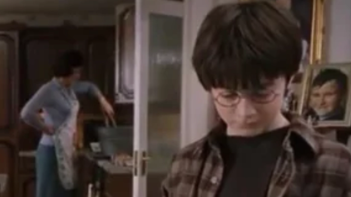 Harry Potter fans are just realising what Aunt Petunia is doing in kitchen scene