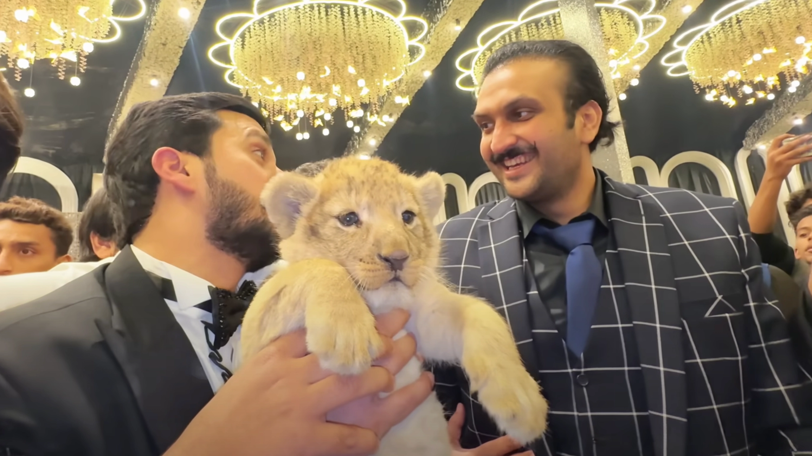 YouTuber who illegally owned a lion cub and posted videos to millions of followers handed a big punishment