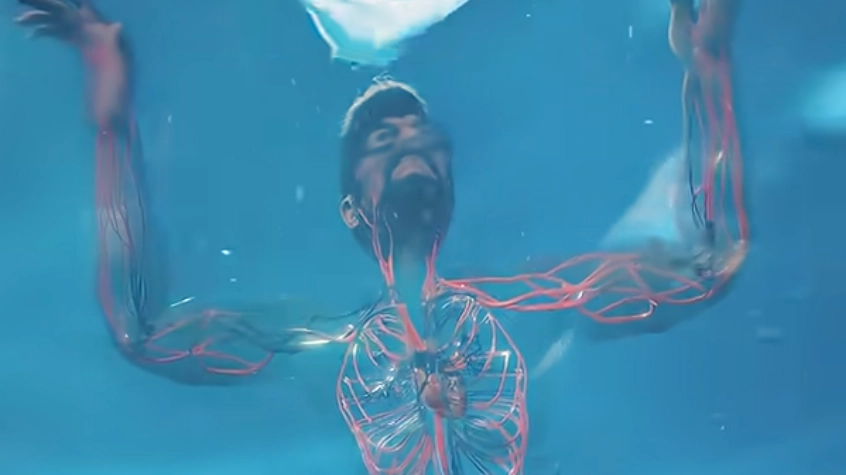 Terrifying simulation shows what happens to the human body when you start to drown