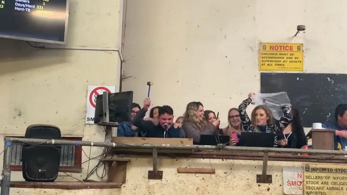Hen Party Crash Cattle Mart In Ireland
