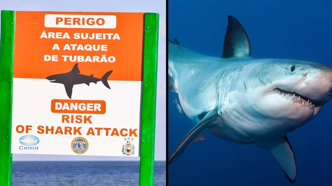 Second Person Killed By Shark Just Hours After Horrific Attack Left Woman Dead