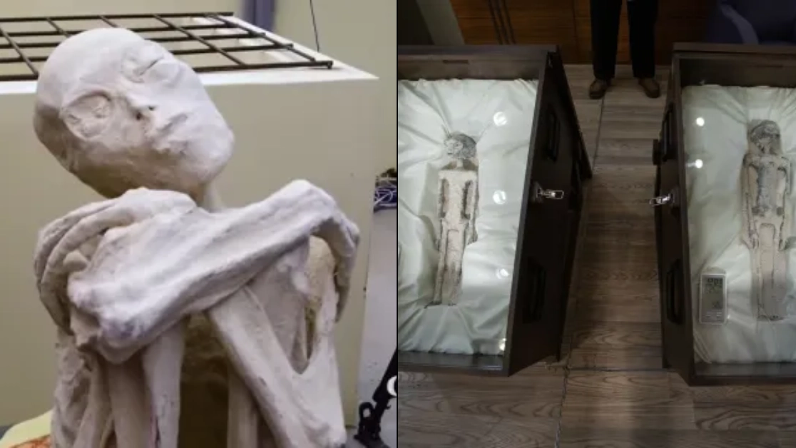Big twist in 'non-human alien corpses' case as fingerprint results come back