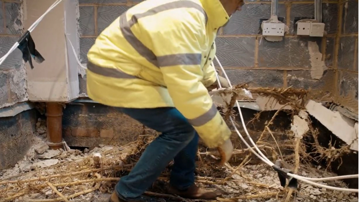 Warning Issued After Homeowner's Bamboo Caused £100,000 Worth Of Damage To Neighbour's House