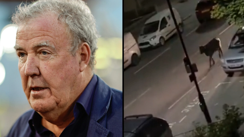 Jeremy Clarkson speaks out after ‘outrageous’ video of police car hitting cow leaves viewers ‘sickened’