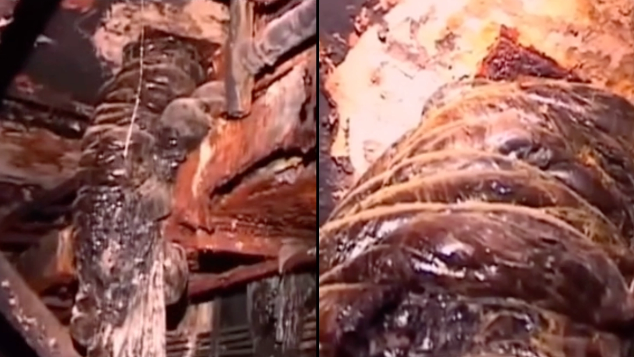 Eerie footage shows most dangerous object on Earth that can kill just by being in a room with it for five minutes