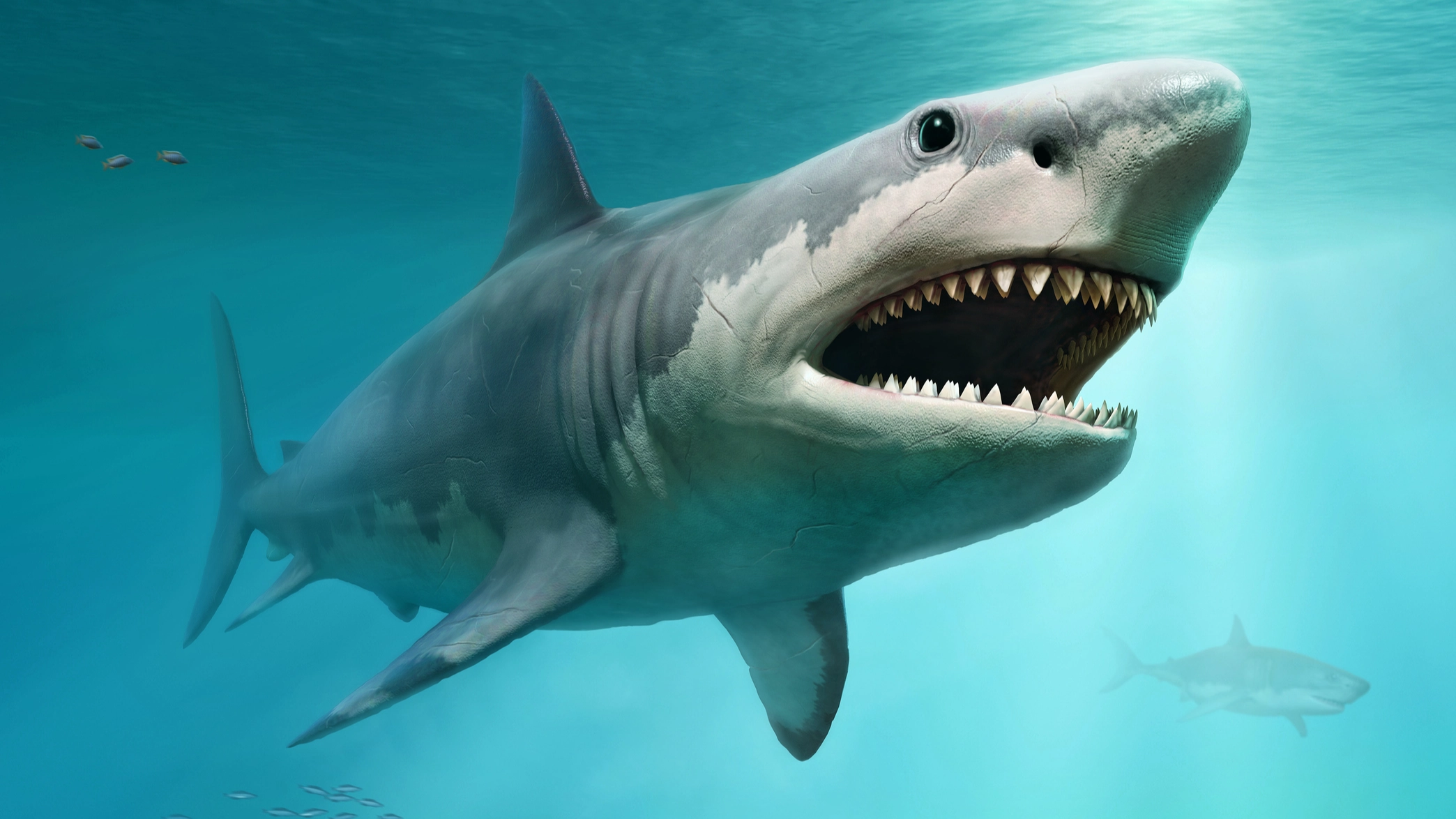Terrifying reality of a Megalodon's true size revealed in new study