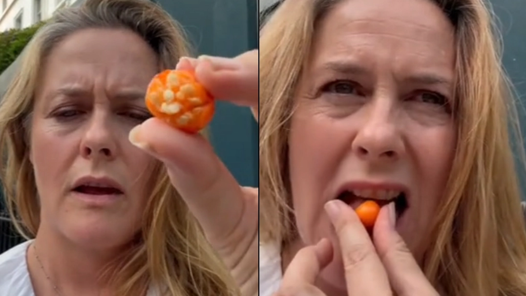 Alicia Silverstone unknowingly eats poisonous plant in UK and hasn't been heard from since