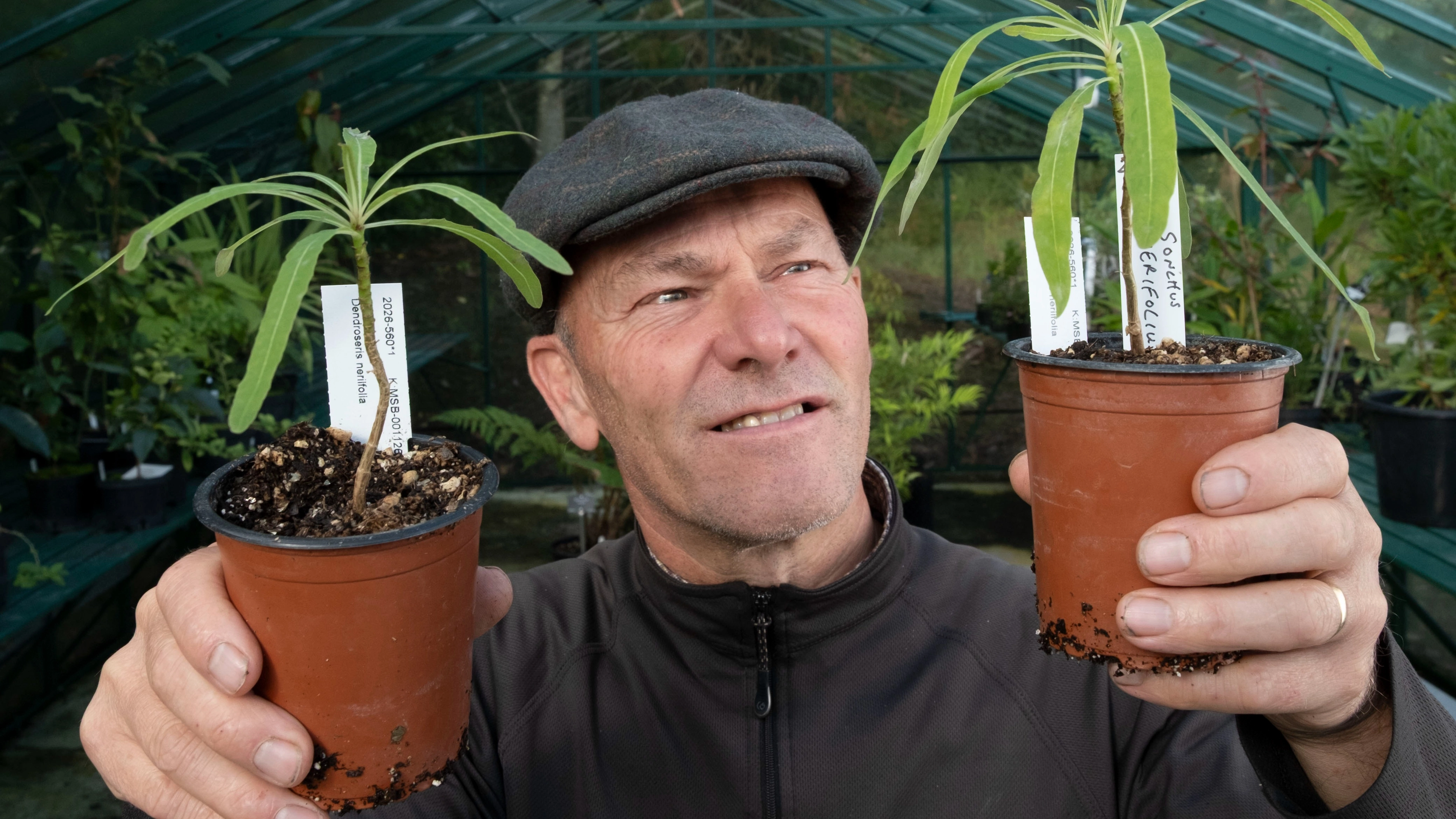 Royal Botanic Garden Edinburgh mourns curator Richard Baines killed by falling tree during Storm Boelo