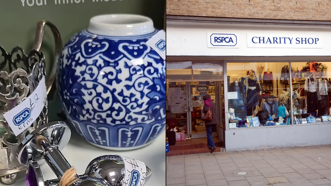 Charity responds to embarrassed shop workers who displayed sex toys in window thinking they were doorknobs