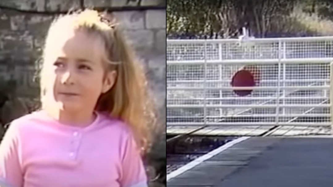 One moment gave people 'all the proof they need' that a girl was reincarnated in resurfaced video