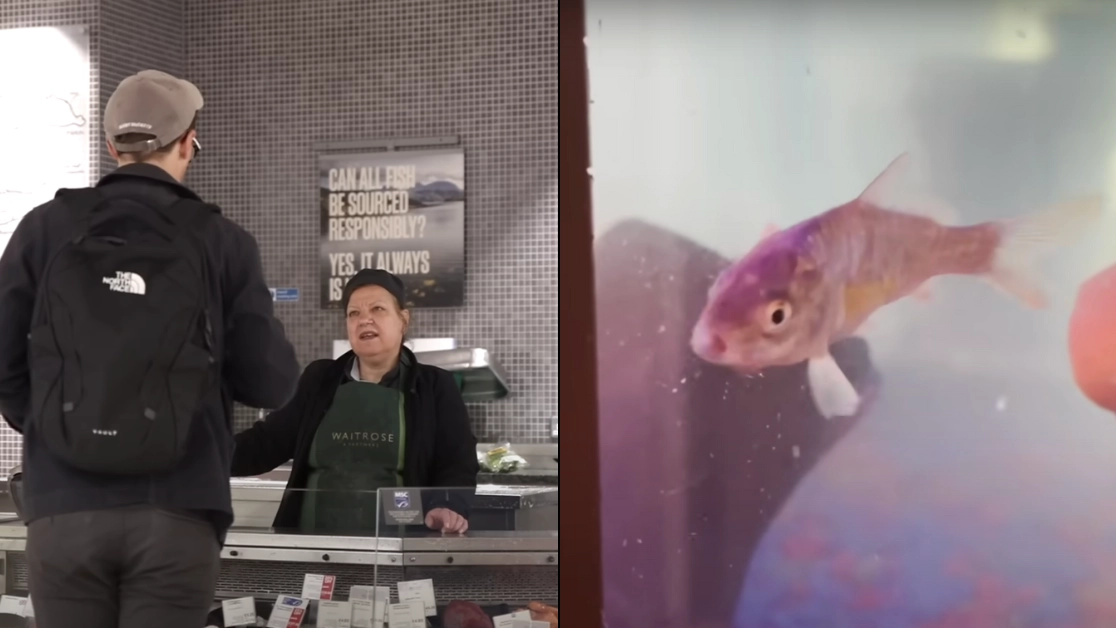 Man leaves people stunned after hatching a fish from a jar of caviar that he bought