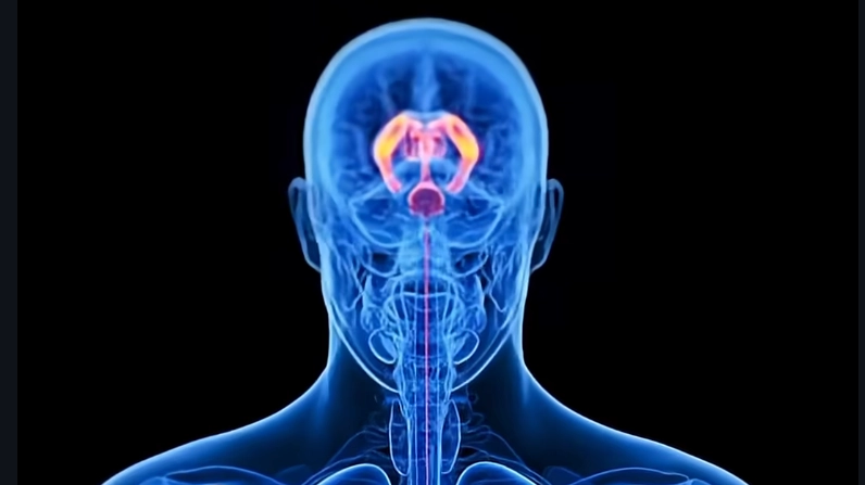 Expert shares reality of fasting as sobering simulation shows what happens to your body after 24 hours