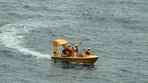 New details emerge after father jumped overboard to save daughter, 5, who fell from Disney cruise