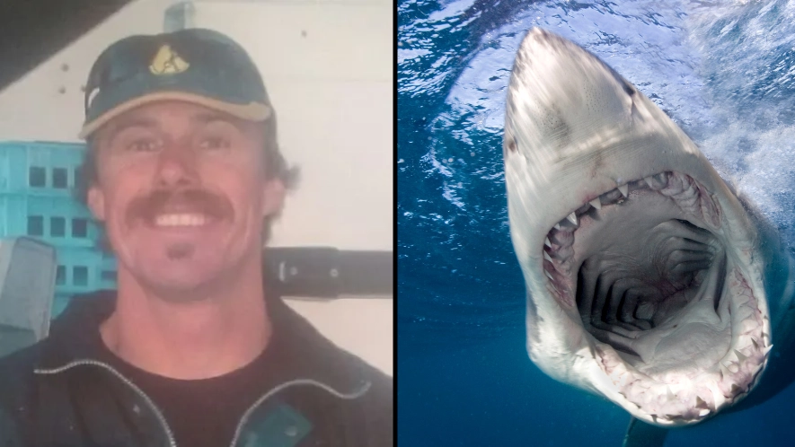 Man who was 'eaten alive' by Great White Shark recalls moment he was stuck in its throat