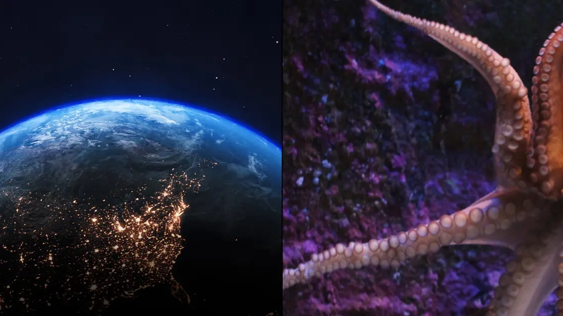 Scientists make worrying prediction for what creature will take over planet if all humans die