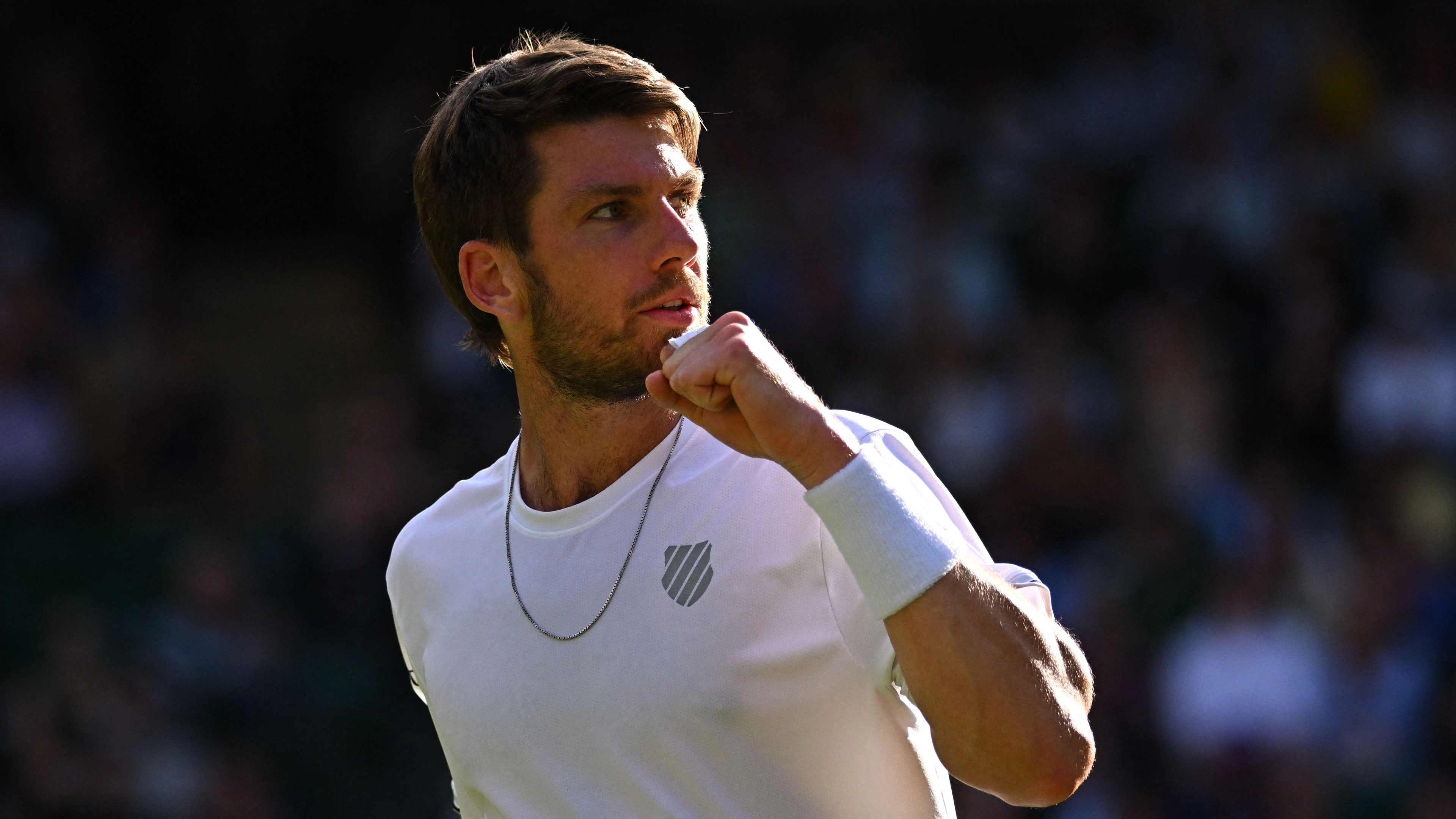 Novak Djokovic Vs Cameron Norrie: How To Watch, Time, Channel