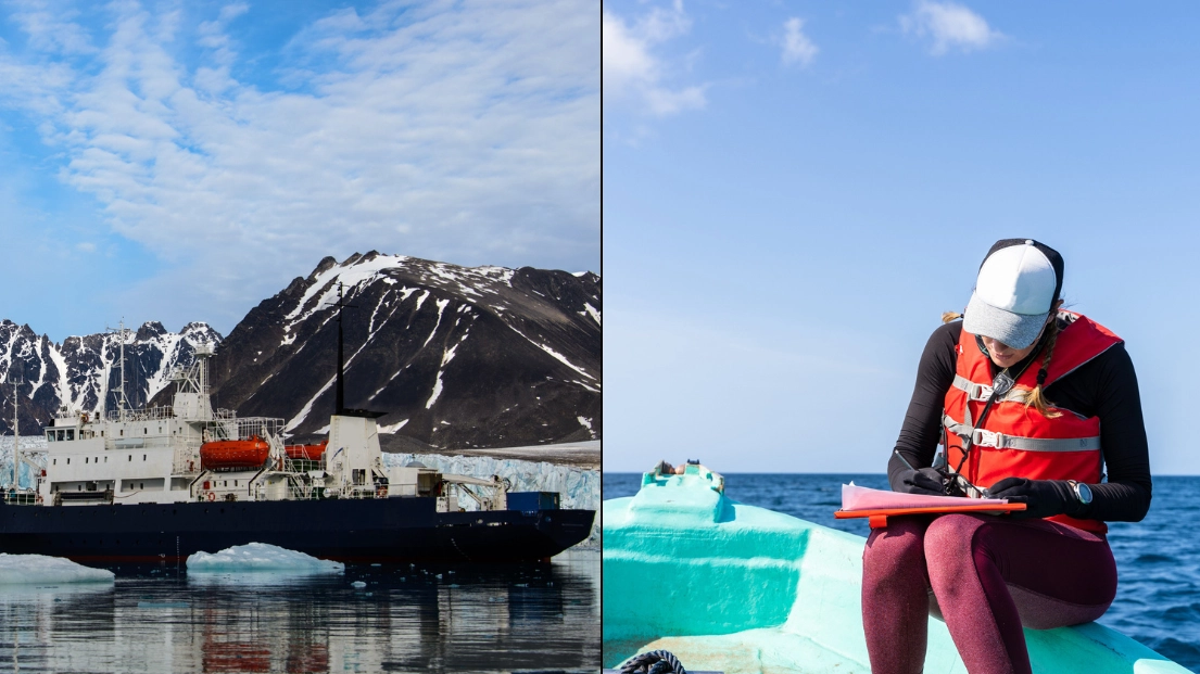 Scientists discover 'treasure trove' at bottom of the ocean that could change the world