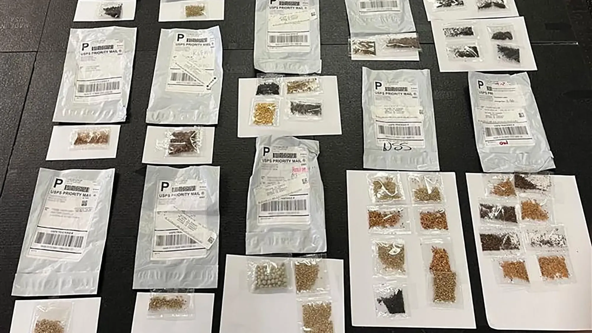 Mysterious packets of Chinese seeds that could devastate America are being mailed to US homes