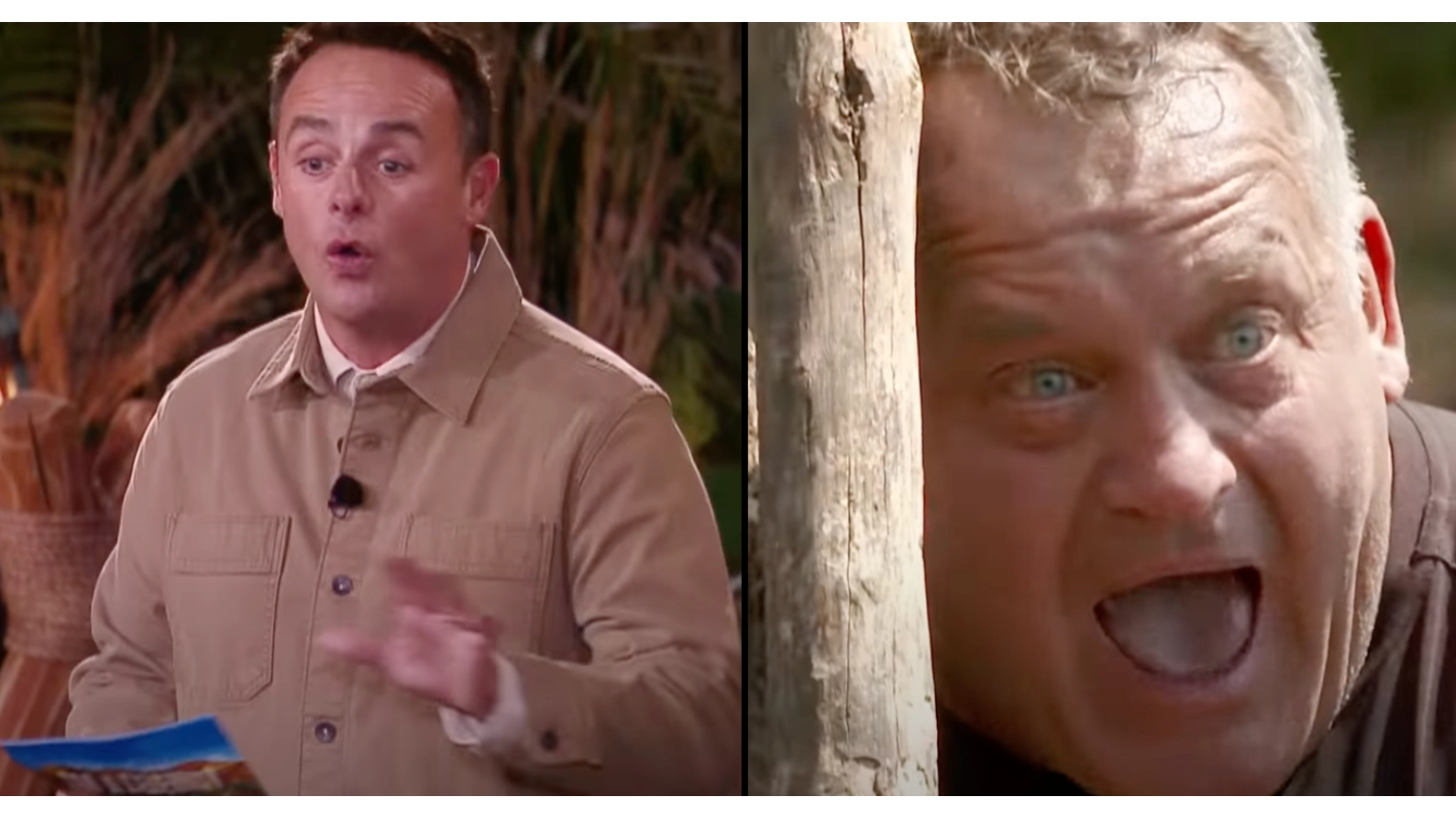 I‘m A Celeb viewers have major complaint about new series in South Africa