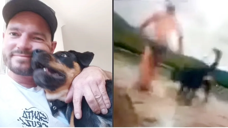 Man punches crocodile that almost ate him before snatching his dog