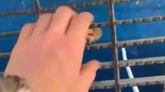 People say they’ll ‘never go in ocean again’ after man dropped food off oil rig