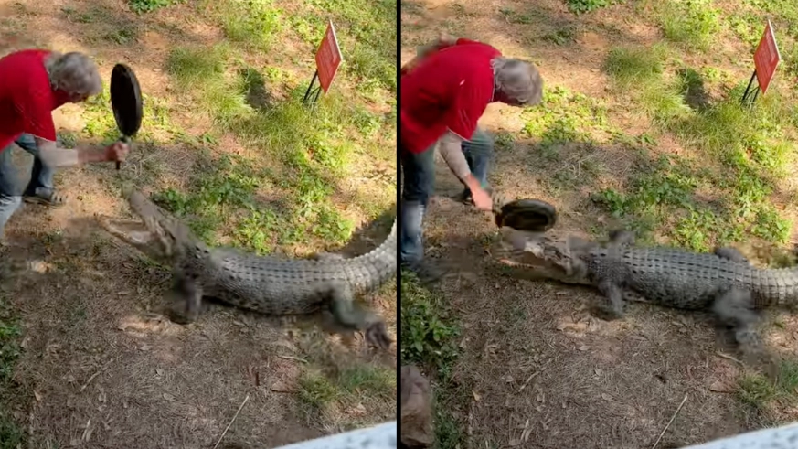Shocking Moment Aussie Pub Owner Uses Frying Pan To Defend Himself Against Croc Attack