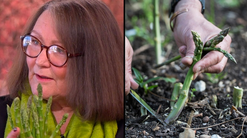 Psychic who predicted Queen’s death using asparagus reveals her predictions for 2024