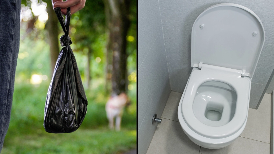 Vet warns pet owners about reason they should never flush animal poo down the loo