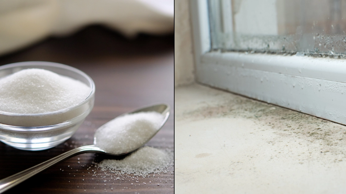Experts explain how putting bowl of salt next to window can limit impact of 'silent killer' in your home