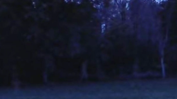 Creepy Video Shows Ghostly Shapes Moving Around Historic Gettysburg Site